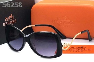 Hermes Sunglasses - 91 Sunglasses RS13079