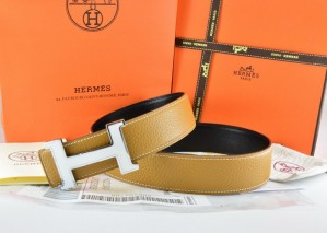 Fake Hermes Belt 2016 New Arrive - 389 RS15132