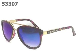 Hermes Sunglasses 83 Sunglasses RS07304